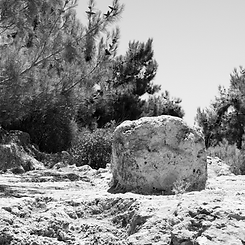 Homer's stone.png