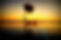 Samothraki_Beach_Apartments_and_Suites_H