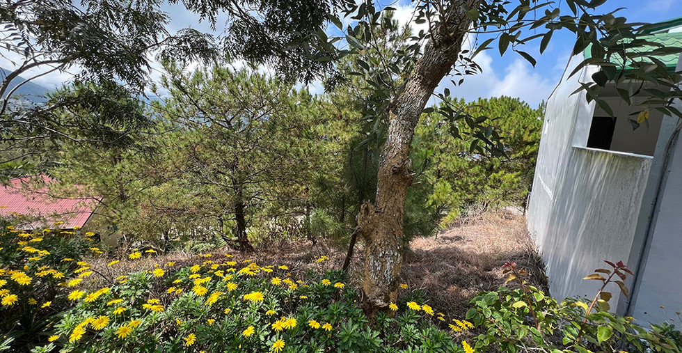 558 sqm Residential Lot for Sale in Pines Garden Villas, Asin Road, Baguio CIty REMAX ARYA