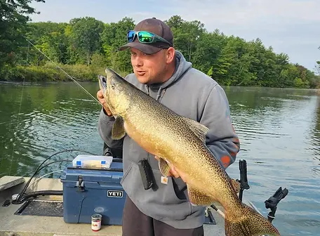 Manistee-River-Salmon.webp