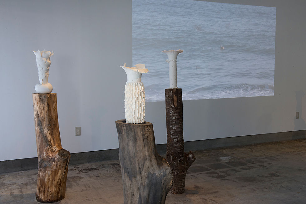 Mineo_Mizuno_Current, installation