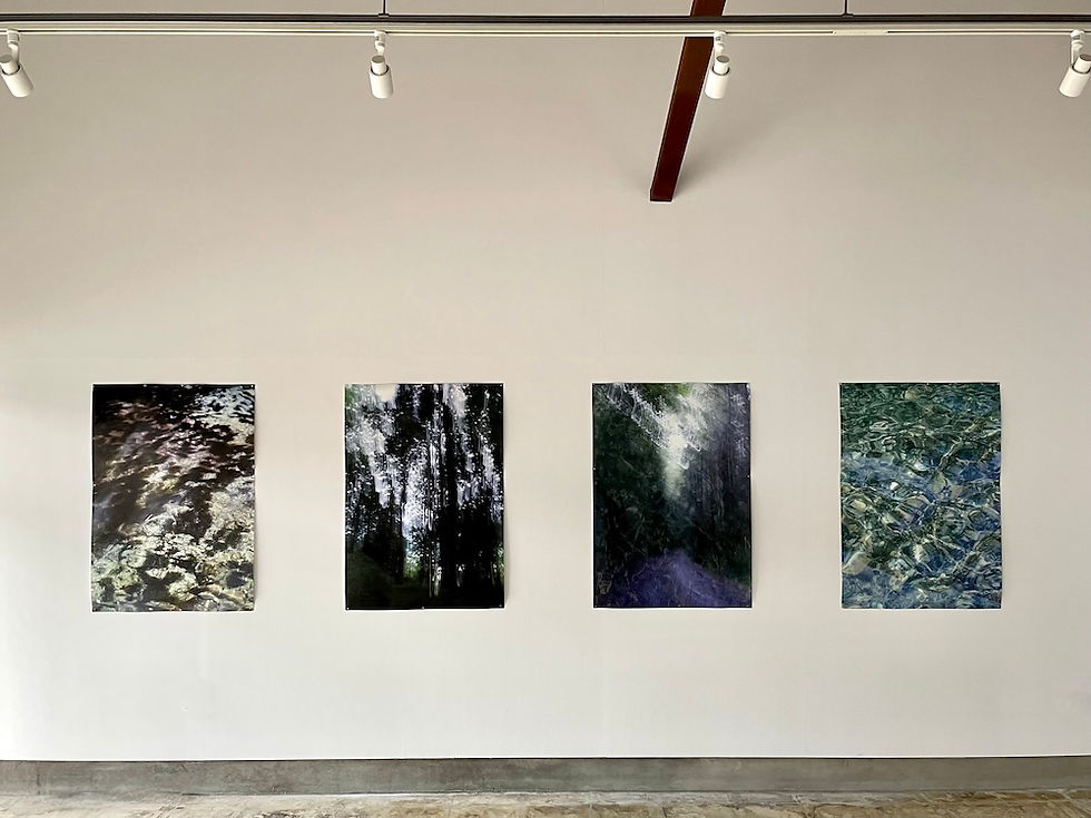 Kanade_Kurozumi_the_portrait_of_MInochi_installation4