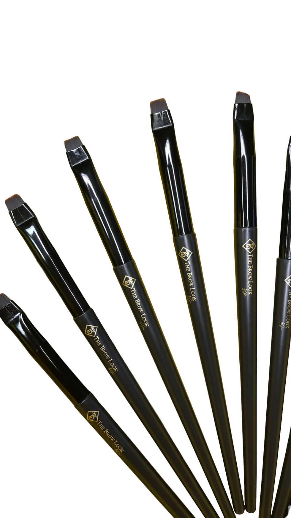 Thumbnail: PRECISION BRUSHES