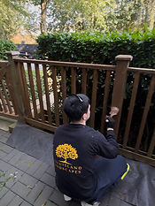 Fence painting/staining Richomond