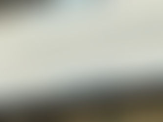 Spotted at Crufts: One Missing Letter, Completely Different Meaning