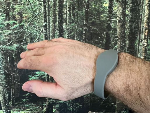 Enhancing Accessibility with Palm Scanning for Instant Interpreter Support