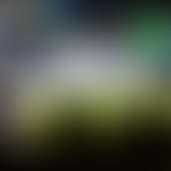 How TV Subtitles Are Changing the Game for Deaf Sports Fans