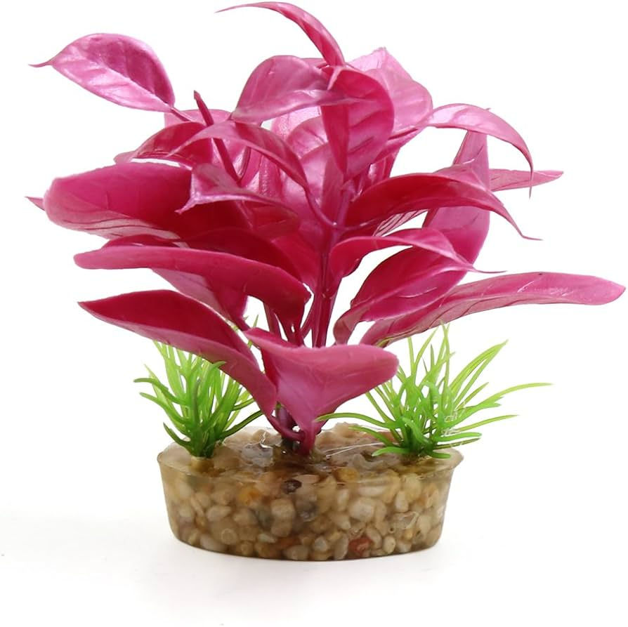 Miniature : Silk Plant Decoration
