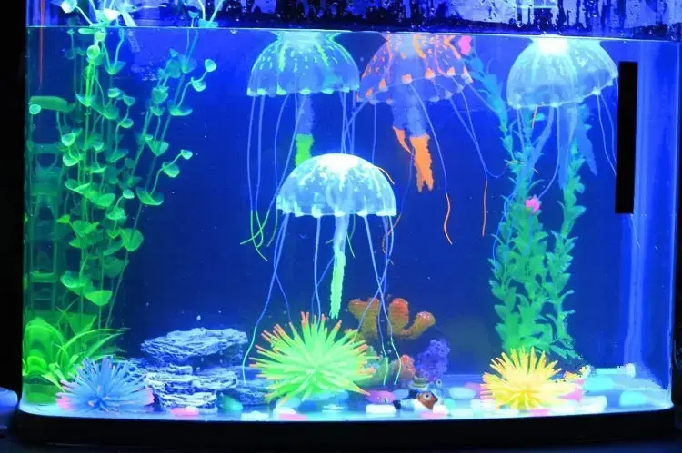 Thumbnail: Jellyfish Deco Small