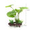 Thumbnail: Leafy Plant Aquarium Decoration
