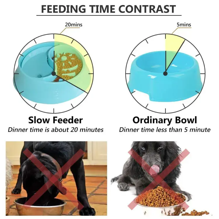 Thumbnail: 2 In 1 Anti Gulping Bowl