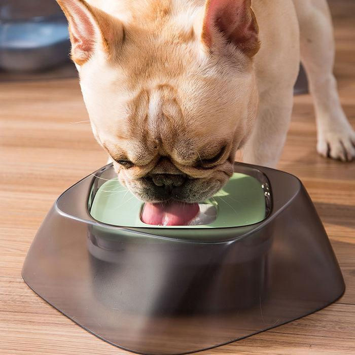 Miniature : Anti Spill Water Bowl