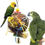 Miniature : Foraging Ball Bird Toy