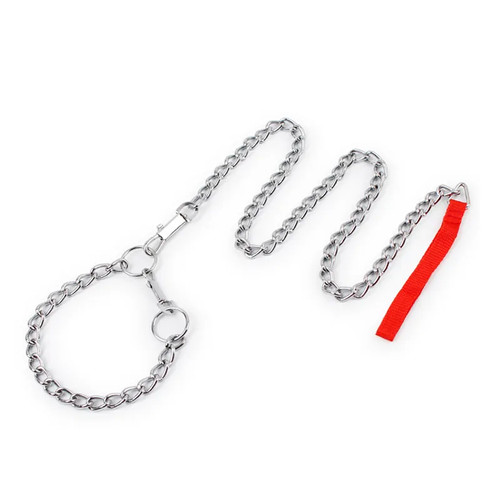 Dog Chain Leash & Collar PETSTORE ONLINE