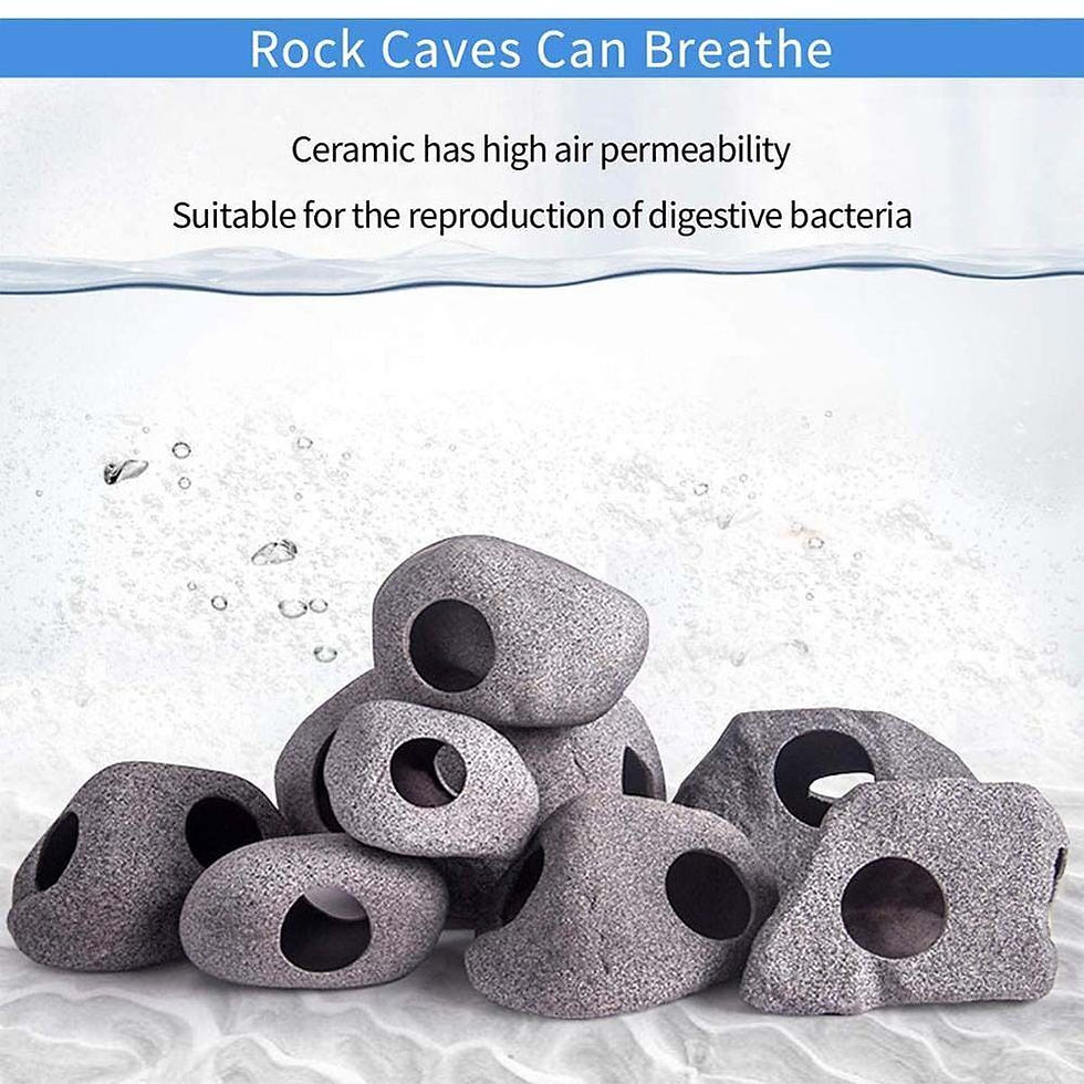 Thumbnail: Rock Shelter Decoration