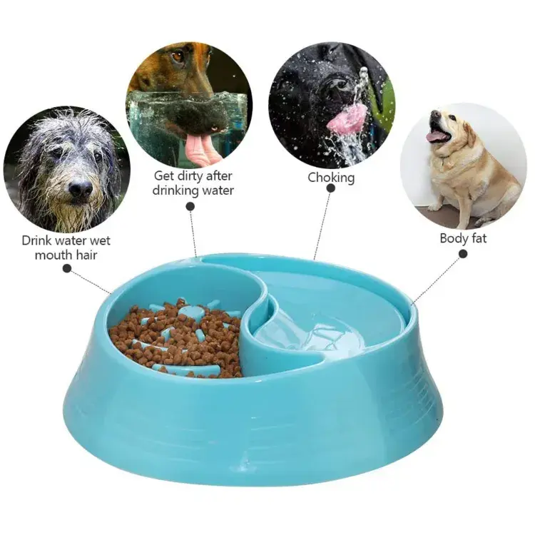 Thumbnail: 2 In 1 Anti Gulping Bowl