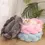 Miniature : Weave Bed