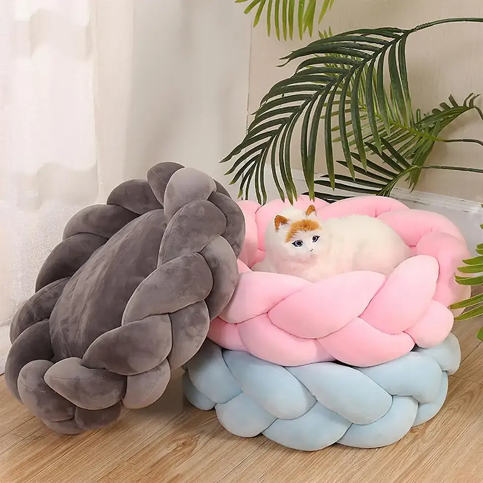 Thumbnail: Weave Bed
