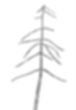 Pining Alone, Runic Essence Suite