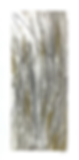 Grasses 2