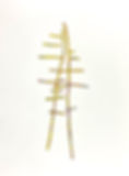 Entwined, Enligthened Suite_engraving_co