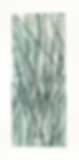 Grasses 3