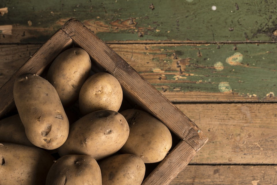 Kartoffeln sind gesund