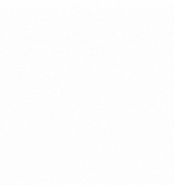 GIF3.3.gif