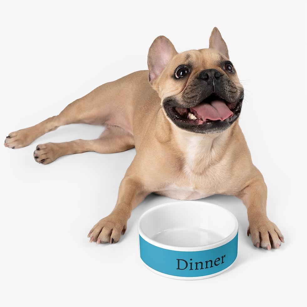 Thumbnail: Pet Bowl Dinner