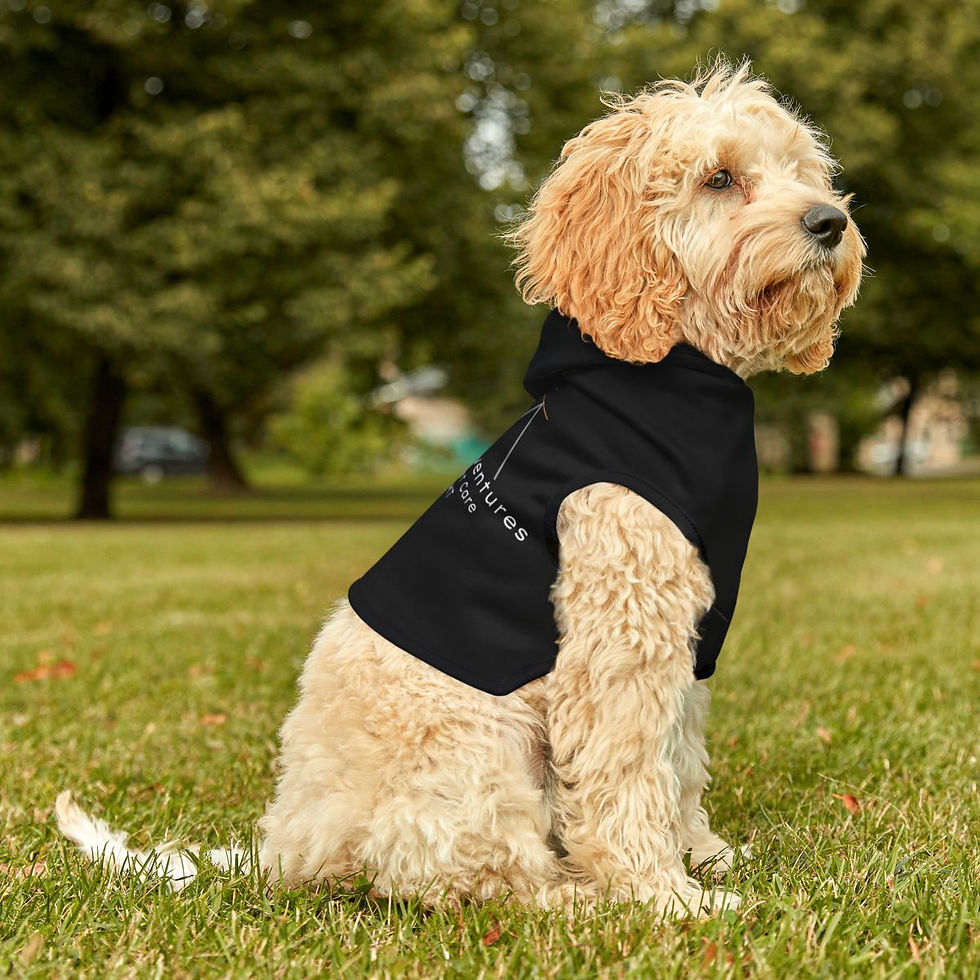 Thumbnail: Dog and Cat All Around Adventures Hoodie