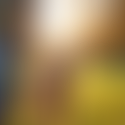 Top Qualities of a Professional Dog Walker