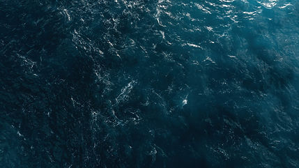 shutterstock_2399412119_edited.jpg