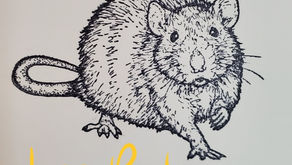 Les Rats Blog 1