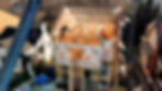 2D13BBDE-C488-4D28-94E9-63BD7D7FDD4D_edited.jpg
