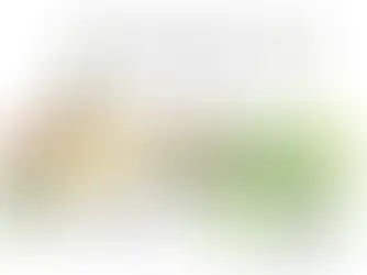 Escapade dessinée dans le Gers