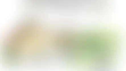 Escapade dessinée dans le Gers