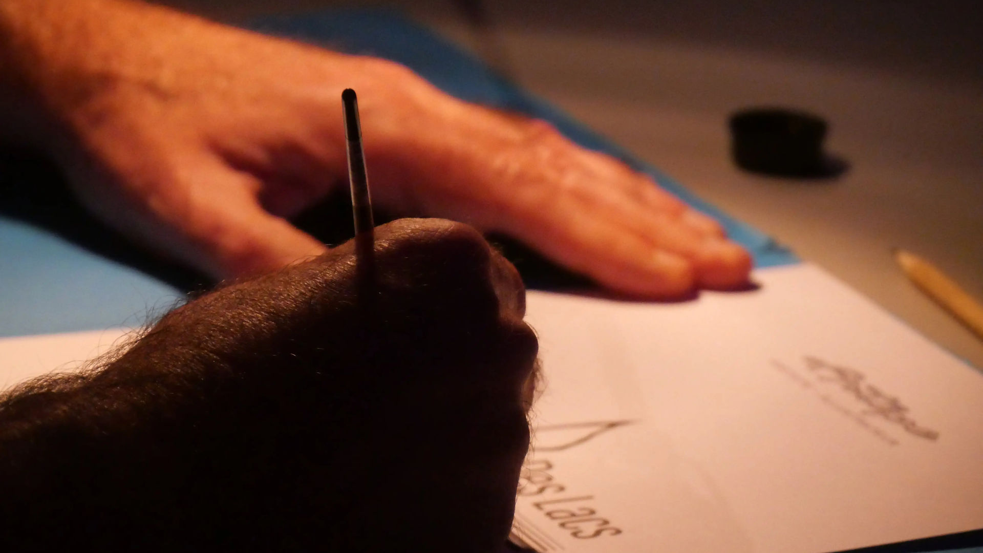 prestation illustration en live de artepe harmonie des lacs a biscarrosse
