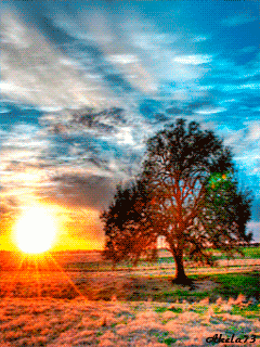 nature-sky-animated-gif