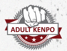 20200304193453_0-1583295321-ADULTKENPO-768x616.png