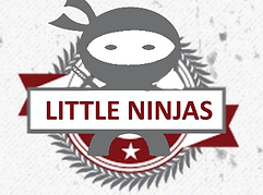 20200304193453_3-1583295321-LITTLENINJAS.png