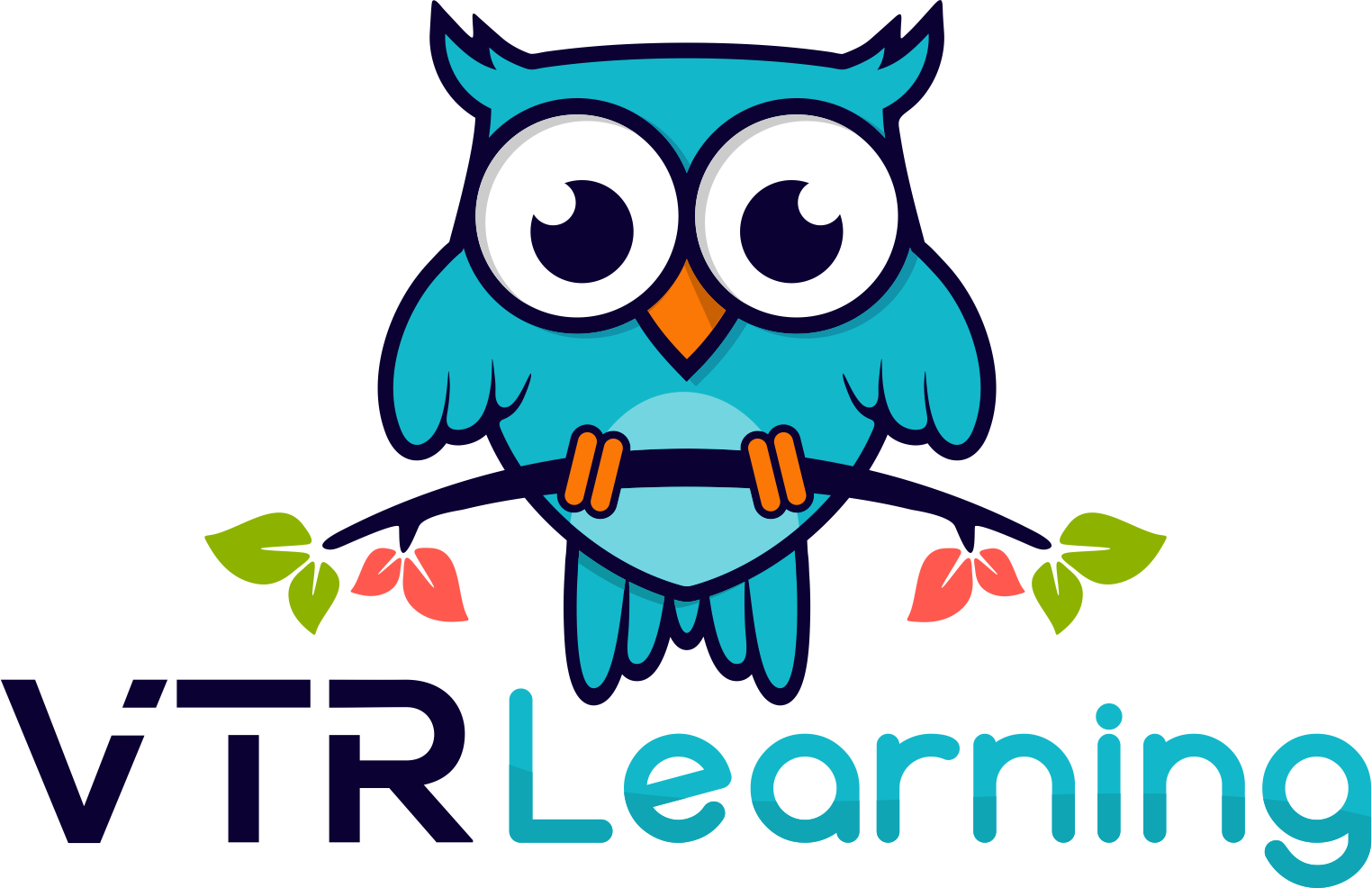 VTR Learning alternate logo with blue owl on top of text that reads VTR Learning.