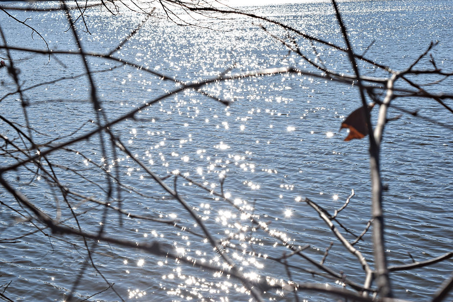 DSC_0520-2.jpg