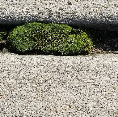 20231225_131603.jpg
