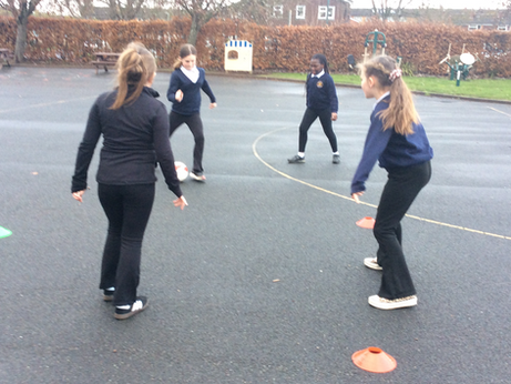 Oak Newsletter - 30.1.26