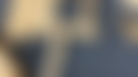 Beech Class Weekly News 12.12.25