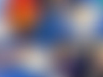 Willow Weekly Newsletter 13.2.26