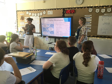 Willow Class Weekly Newsletter 10.7.26