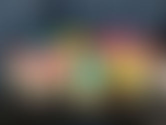 Willow Weekly News 14.2.25