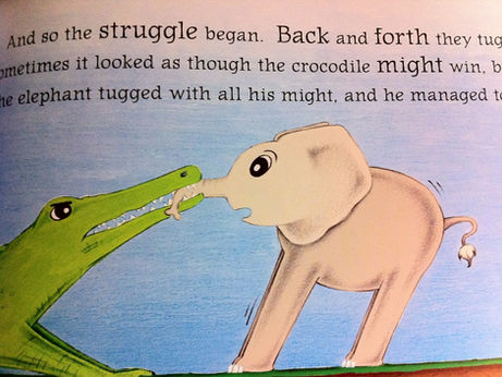 Chestnut Newsletter 24.1.25