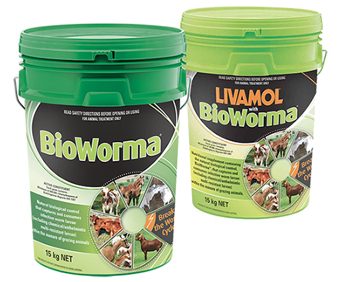 BioWorma® US Launch